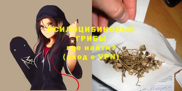 spice Бородино